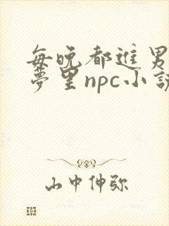 每晚都进男神的梦里npc小说