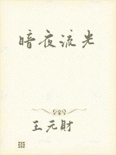暗夜流光