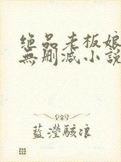 绝品老板娘完整无删减小说