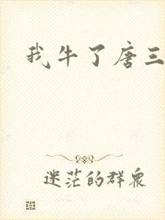 我牛了唐三