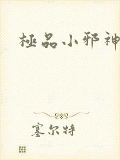 极品小邪神