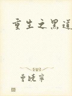 重生之黑道传奇