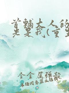 首辅大人的白月光是我(重生)