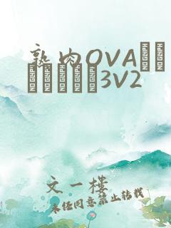 熟肉OVAちゃんはしたい3V2