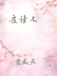 夜情人