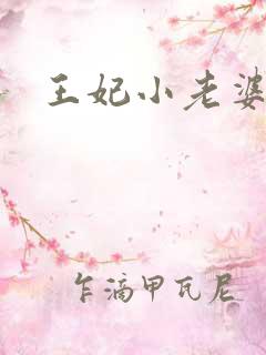王妃小老婆