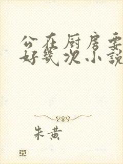 公在厨房要了我好几次小说
