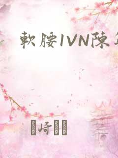 软腰1VN陈年