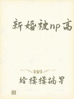 新婚被np高h