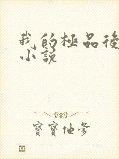 我的极品后宫 小说