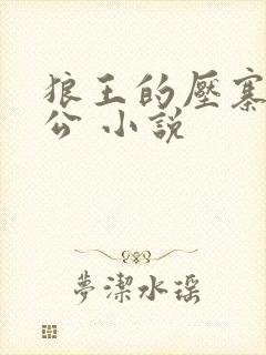 狼王的压寨小相公 小说