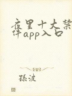 夜里十大禁用软件app入口