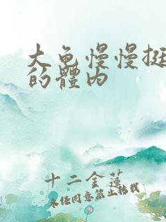 大龟慢慢挺进我的体内