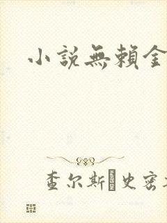 小说无赖金仙