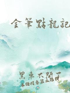 金笔点龙记