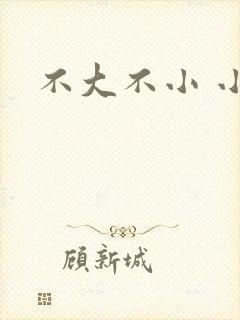 不大不小 小说
