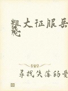 粗大征服岳女双飞