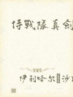 侍战队真剑者2