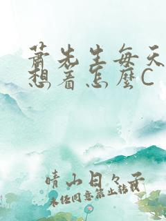 萧先生每天都在想着怎么C