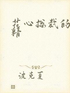 花心总裁的小妖精