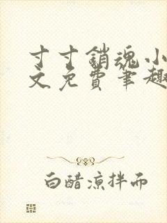 寸寸销魂小说全文免费笔趣阁