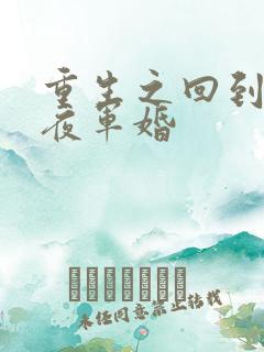 重生之回到新婚夜军婚