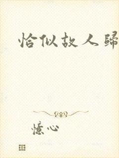 恰似故人归小说