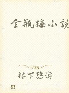 金瓶梅小说下载