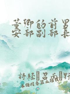 董卿的前男友公安部副部长