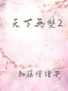 天下无双2