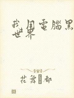 我用电脑黑了全世界