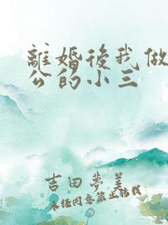 离婚后我做了老公的小三