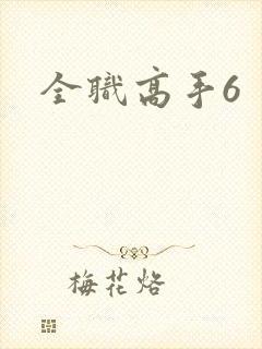 全职高手6