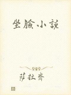 坐脸小说