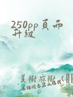 250pp页面升级