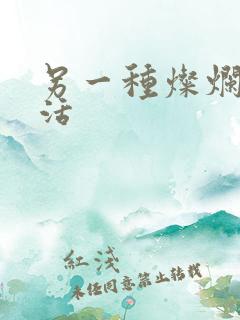 另一种灿烂的生活