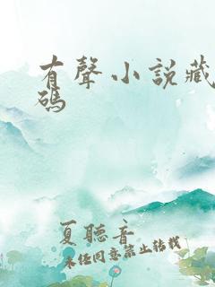 有声小说藏地密码