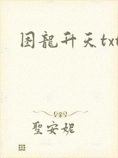 困龙升天txt