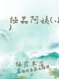 极品阿姨(小说)