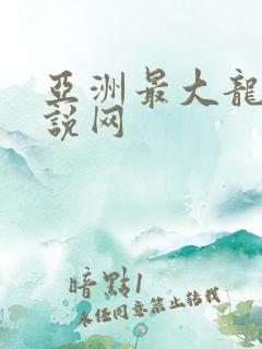亚洲最大龙腾小说网
