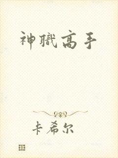 神职高手
