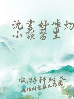 沈书妤傅灼抖音小说医生