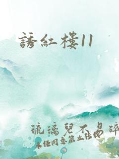 诱红楼11
