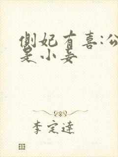 侧妃有喜:公主是小妾