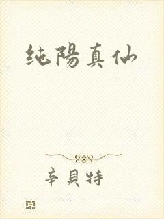 纯阳真仙