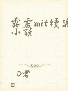 霹雳mit续集小说