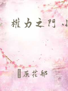 权力之门 小说