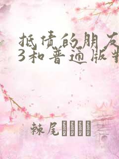 抵债的朋友麦子3和普通版对比