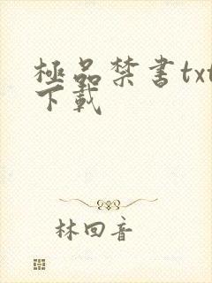 极品禁书txt下载