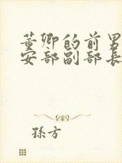 董卿的前男友公安部副部长